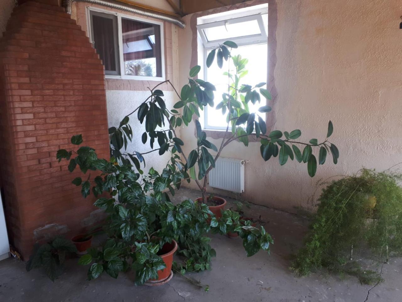 La Vitalie Guest House Chisinau Ngoại thất bức ảnh
